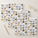 Search for cat folders Kitty