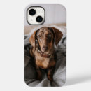 Search for dapple dachshund gifts Cute baby animal