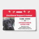 Search for emotional support animal Pet
