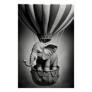 Search for black and white elephant posters Baby