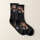 Search for spaniel dog mens clothing animal