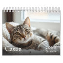Search for cat calendars Modern