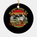 Search for raccoon ornaments Vintage