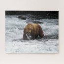 Search for grizzly bear puzzles Wildlife