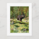 Search for adirondack postcards Wildlife