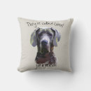 Search for merle great dane Animal