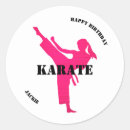 Search for karate stickers birthday