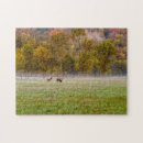 Search for male puzzles Autumn