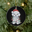 Search for bichon frise ornaments Santa