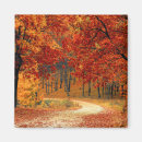 Search for fall leaf magnets Colorful