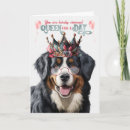 Search for bernese mountain dog cards Dogs