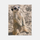 Search for train blankets Cute