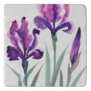 Search for iris flower gifts Beautiful