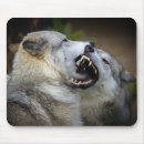 Search for national park mousepads No people