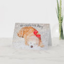Search for not a creature was stirring holiday cards Dog