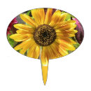 Search for sunflower cake toppers Birthday