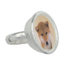 Search for shiba inu gifts red