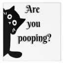 Search for cat poop Pooping