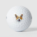 Search for corgi golf balls Pet