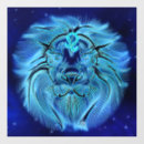 Search for zodiac signs Beautiful