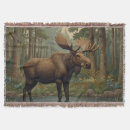 Search for moose blankets Forest