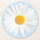 Search for daisy coasters Floral