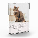 Search for pet keepsake Simple