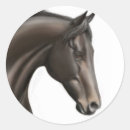 Search for preakness Thoroughbred