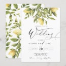 Search for citrus wedding invitations Calligraphy