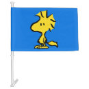 Search for car flags Kids