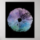 Search for tie dye posters Bass