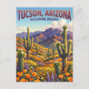 Search for tucson postcards Souvenir