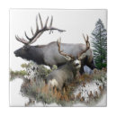 Search for mule decor Wildlife