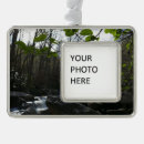 Search for pigeon ornaments Nature
