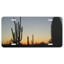 Search for arizona license plates Southwest