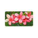Search for hawaiian return address labels White