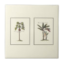 Search for vintage palm trees tiles Botanical