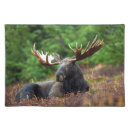 Search for moose placemats Wildlife