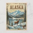Search for alaska postcards Moose