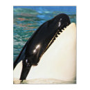 Search for black and white whale art Animals