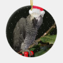 Search for parrot ornaments Bird