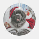 Search for newfoundland dog ornaments Newfie
