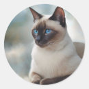 Search for siamese cat stickers Animal