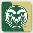 Search for colorado coasters Cam the ram