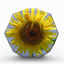 Search for sunflower awards Yellow
