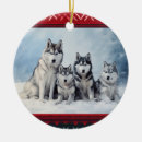 Search for siberian husky ornaments Dog