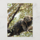 Search for 5x7 postcards Mail