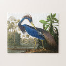Search for louisiana puzzles John james audubon