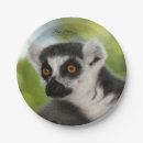 Search for friends plates Pets