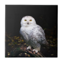 Search for owl tiles White